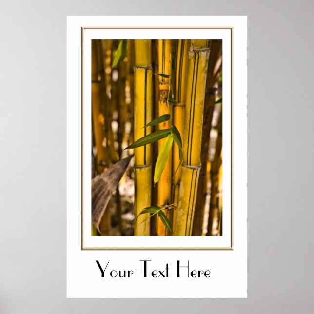 Fredlig Bamboo Jungle Poster (Framsidan)
