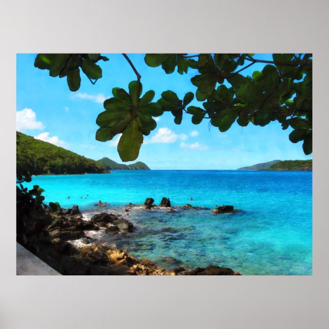 Fredlig Beach St. Thomas Poster (Framsidan)