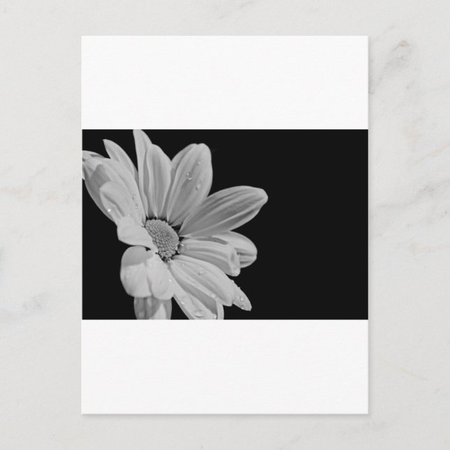 Fredlig Blommigt Vykort (Framsida)