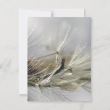 Fredlig, Elegant, Shimmering Dandelion Poof