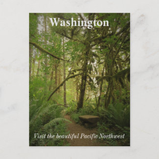 Fredlig Grön Skogsväg Washington Vykort