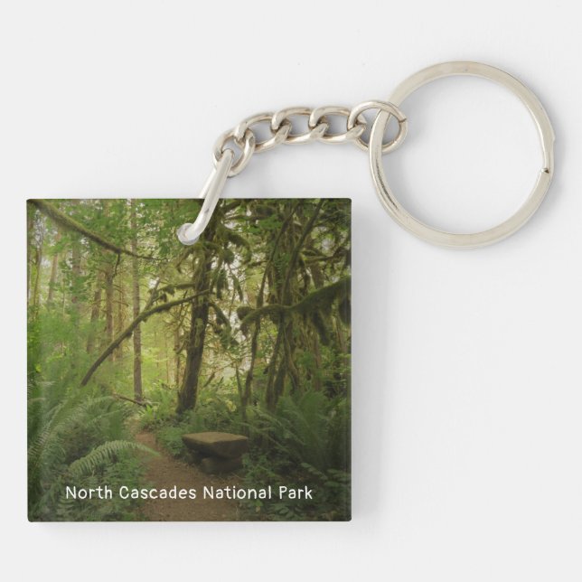 Fredlig Grönt Forest Trail i Washington (Baksidan)