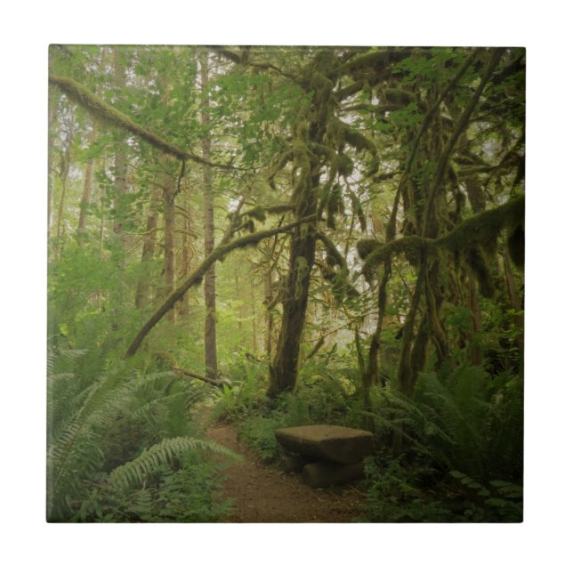 Fredlig Grönt Forest Trail i Washington Kakelplatta (Framsidan)