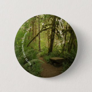 Fredlig Grönt Forest Trail i Washington Knapp