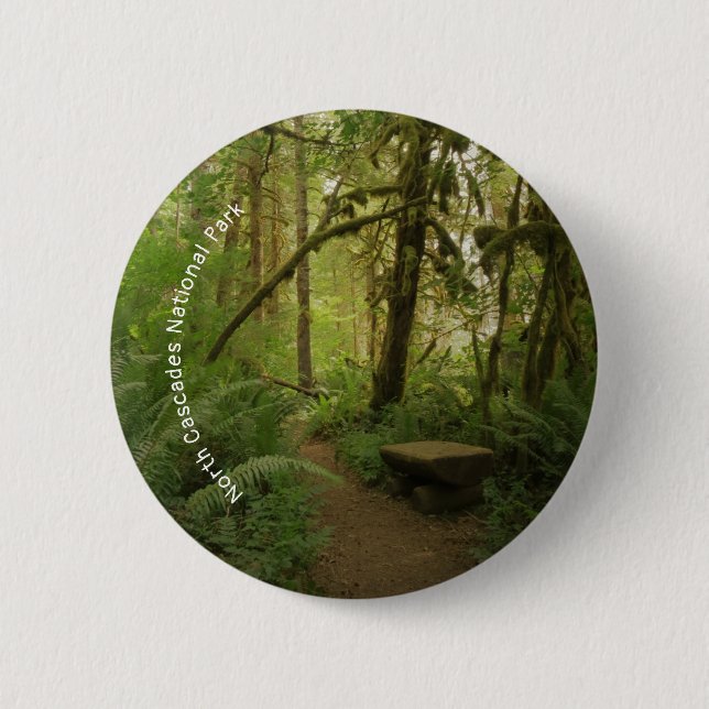 Fredlig Grönt Forest Trail i Washington Knapp (Framsida)