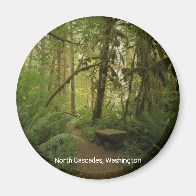 Fredlig Grönt Forest Trail i Washington Magnet (Framsidan)