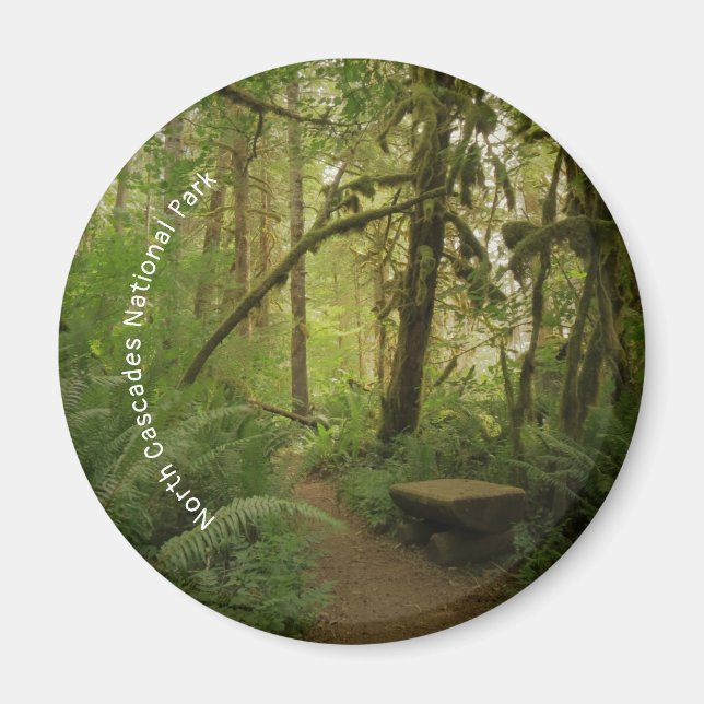 Fredlig Grönt Forest Trail i Washington Magnet (Framsidan)
