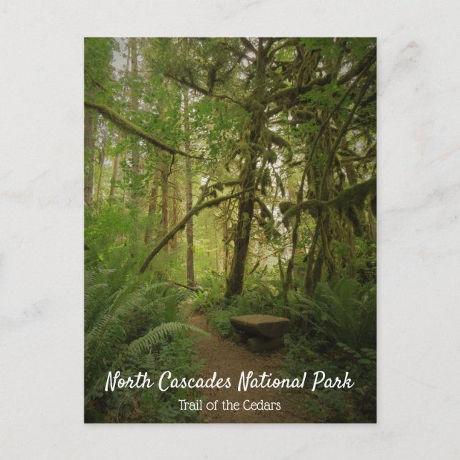 Fredlig Grönt Forest Trail Washington Vykort (Framsida)