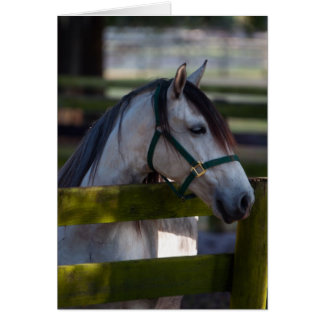 Fredlig Hälsningskort