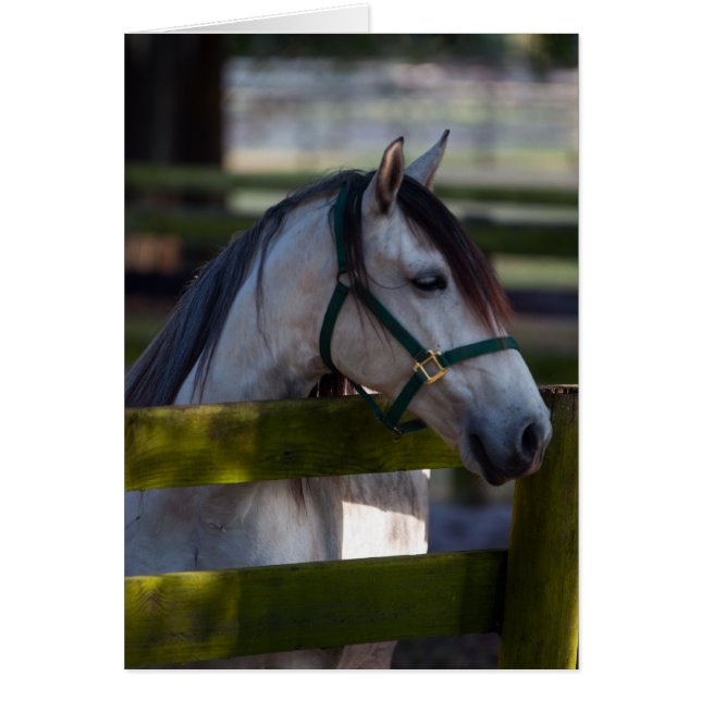 Fredlig Hälsningskort (Framsidan)