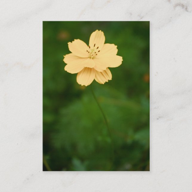 Fredlig Harmoniy Mini-utskrift Visitkort (Framsida)