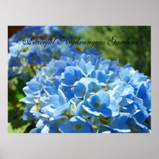 Fredlig Hydrangea Gardens konsttryck Blå Grönt Poster
