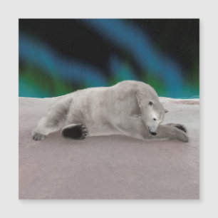 Fredlig Isbjörn Arktisk Naturillustration