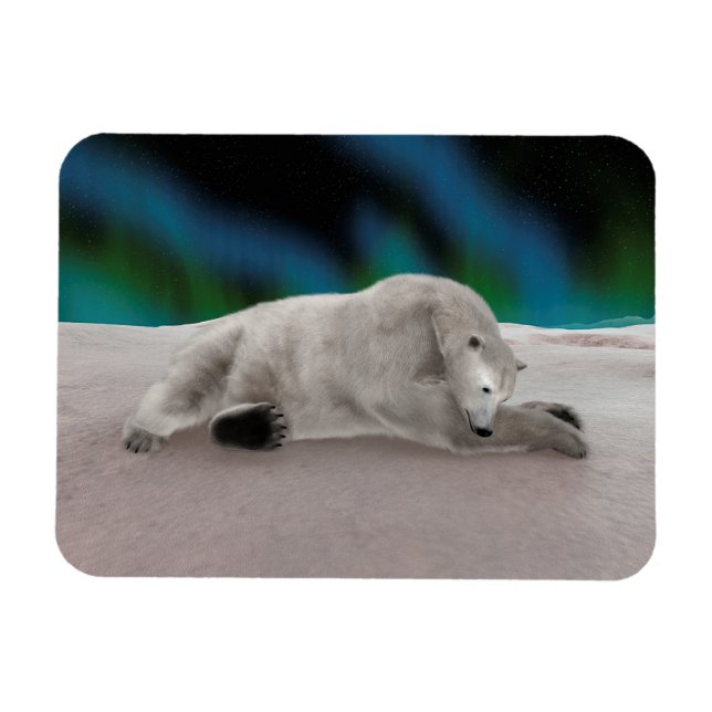 Fredlig Isbjörn Arktisk Naturillustration Magnet (Horisontell)