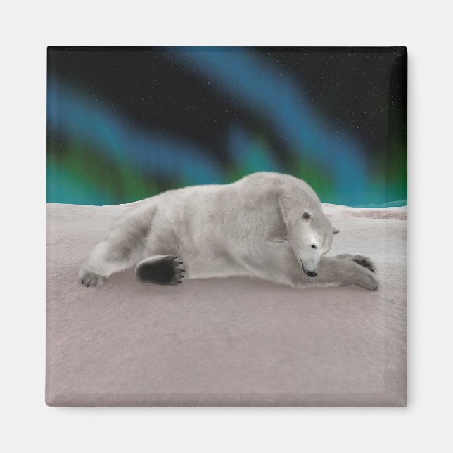 Fredlig Isbjörn Arktisk Naturillustration Magnet (Framsidan)