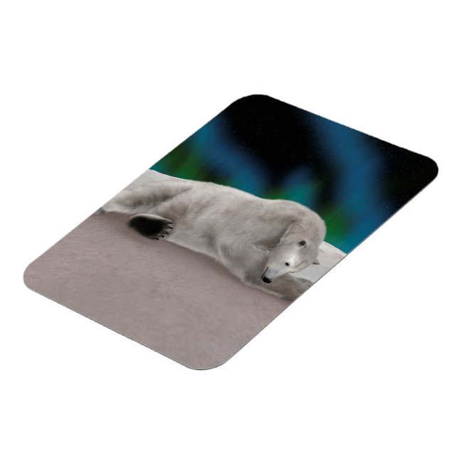 Fredlig Isbjörn Arktisk Naturillustration Magnet (Vänstra Sidan)