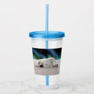 Fredlig Isbjörn Arktisk Naturillustration Take Away Mugg