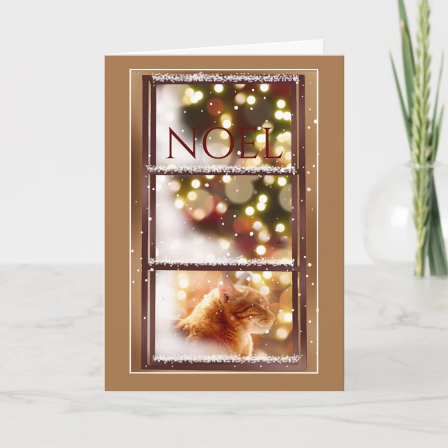 Fredlig katt inuti ett snöformat julkort kort (Framsida)