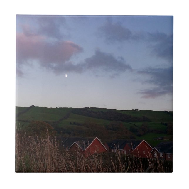 Fredlig kväll i Newtown Kakelplatta (Framsidan)