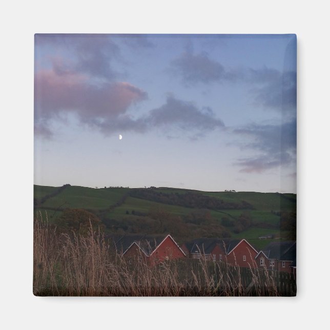 Fredlig kväll i Newtown Magnet (Framsidan)