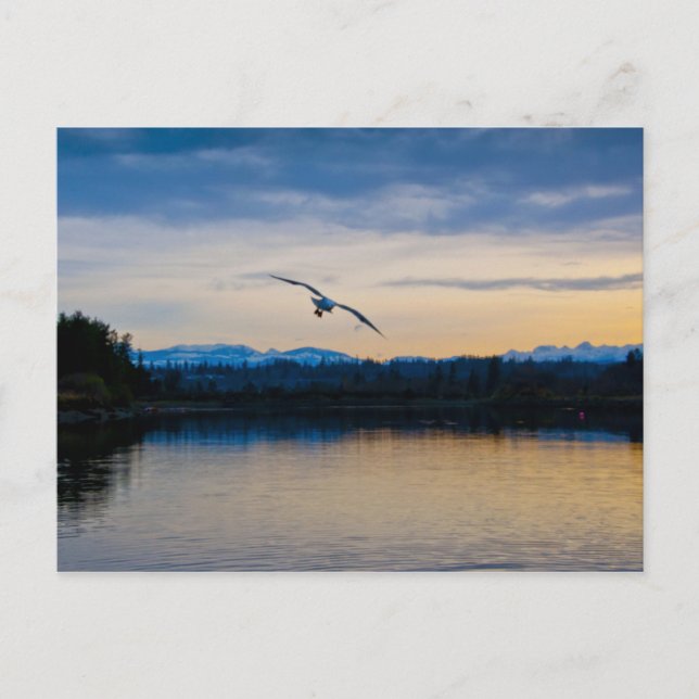 Fredlig kvällstid vykort (Framsida)