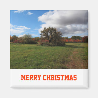 Fredlig landskapsfoto i land, jul magnet