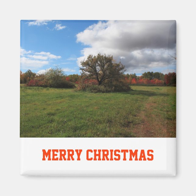 Fredlig landskapsfoto i land, jul magnet (Framsidan)