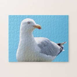 Fredlig Måsgal Hvilande Kustfågel Scen Natur Pussel