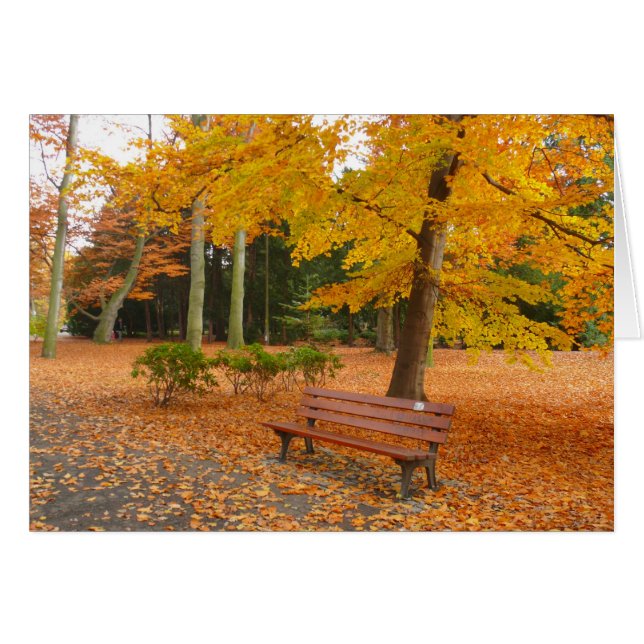 Fredlig och tyst höst i parken OBS kort (Framsidan Horizontal)
