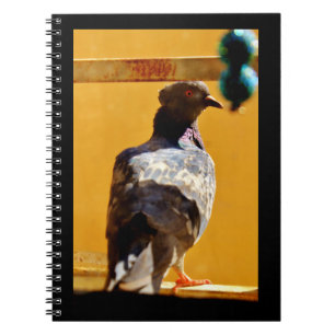 Fredlig Pigeon Anteckningsbok