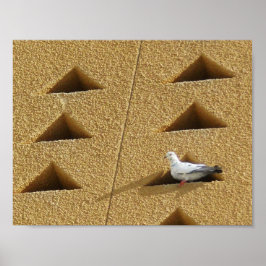 Fredlig Pigeon Poster