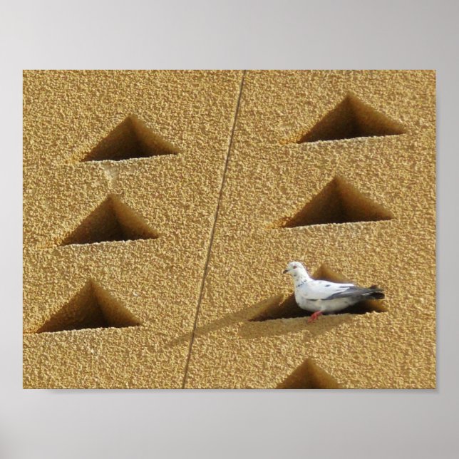 Fredlig Pigeon Poster (Framsidan)