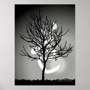 Fredlig radians/Tao 道 Harmony (TBA) Poster