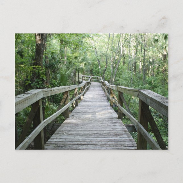 Fredlig rulle vykort (Framsida)