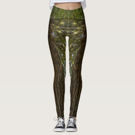 Fredlig Skog Med Gyllene Ljus Foto Legging