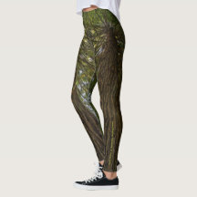 Fredlig Skog Med Gyllene Ljus Foto Legging