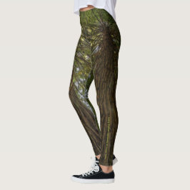 Fredlig Skog Med Gyllene Ljus Foto Legging