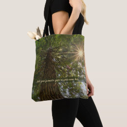 Fredlig Skog Med Gyllene Ljus Foto Tygkasse