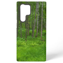 Fredlig Skogsnatur Estetik