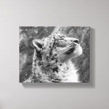 Fredlig Snö Leopard