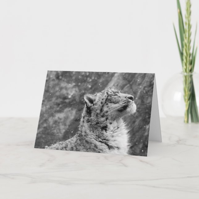 Fredlig Snö Leopard Helgkort (Framsida)