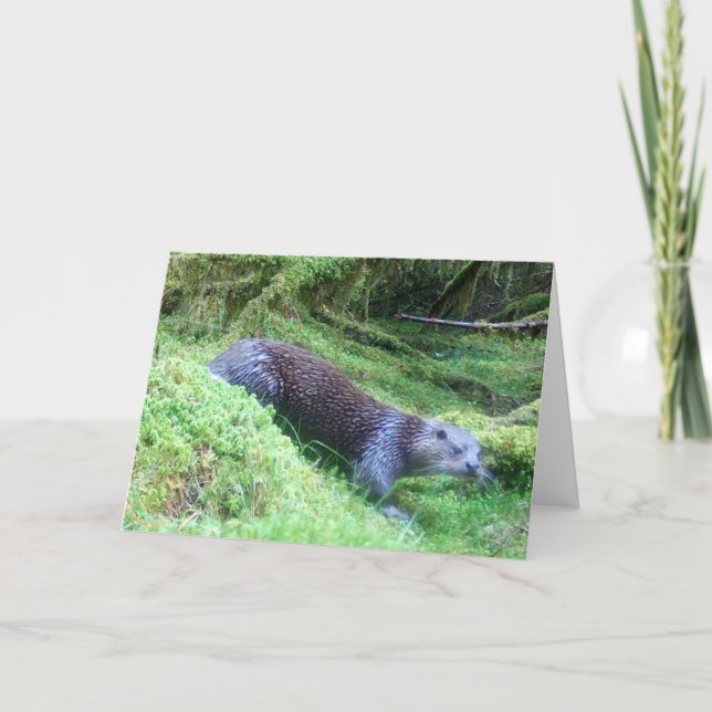 Fredlig utter flodstrand vilda djur natur scen kort (Framsida)
