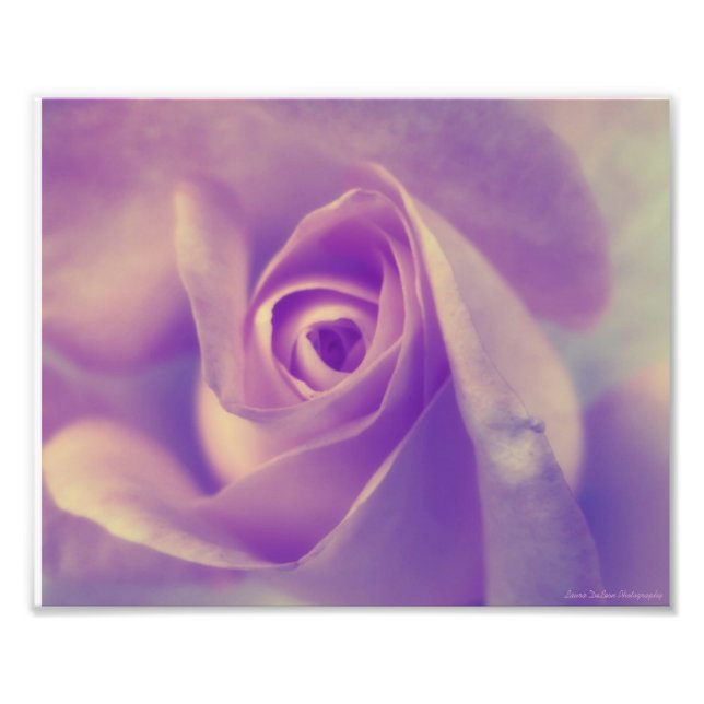 Fredlig vila fototryck (Framsidan)