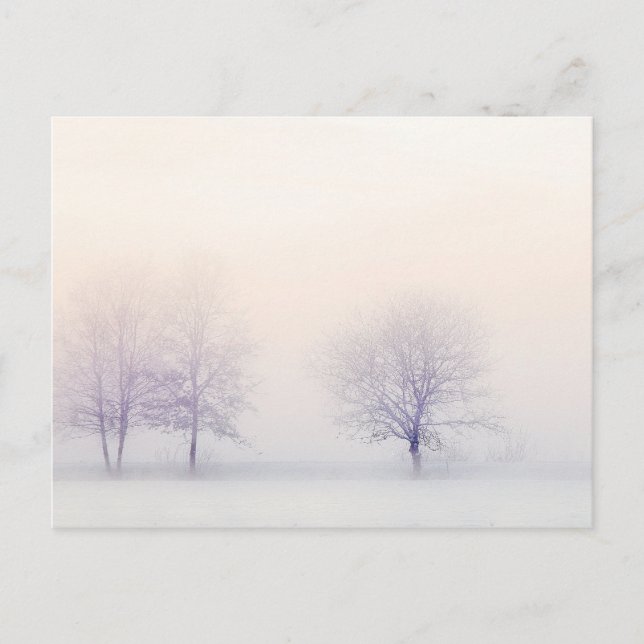 Fredlig vinter vykort (Framsida)