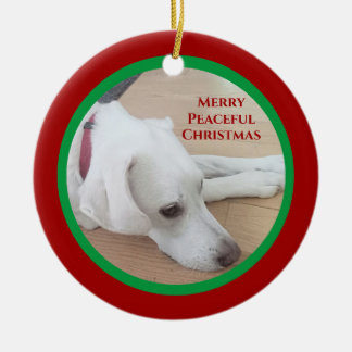 Fredlig vit Hund Red Collar-jul Julgransprydnad Keramik