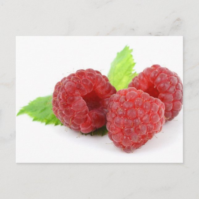 Fredlig Vykort (Framsida)