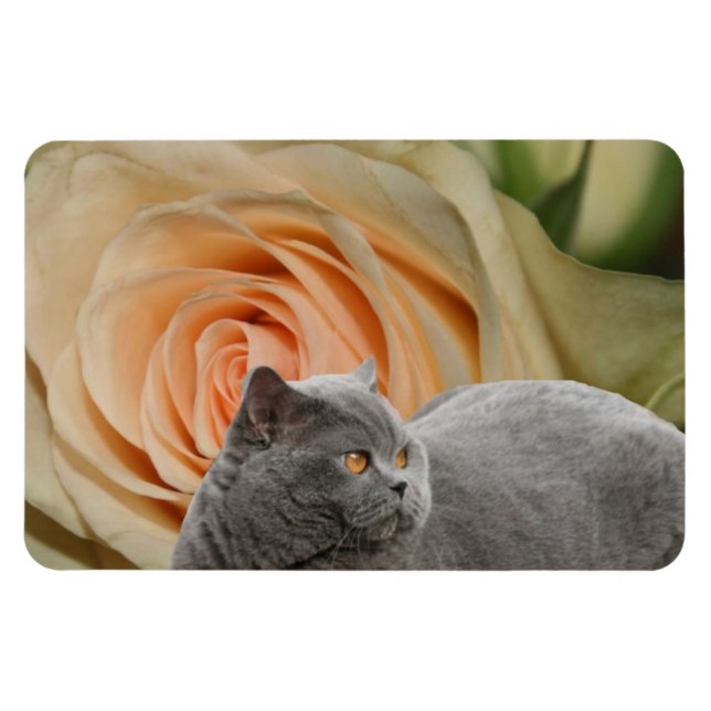 Fredliga Blommor Magnet (Horisontell)