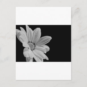 Fredliga Blommotiv Vykort
