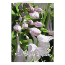 Fredliga mallgruppkondoleanser Sympathy Card