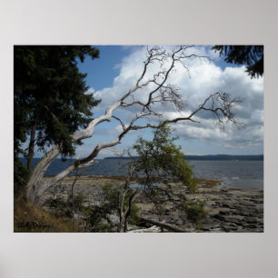 Fredliga ögonblick poster